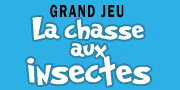 Grand Jeu La chasse aux insectes -- 07/07/06