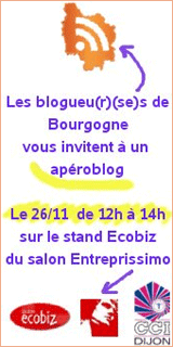 Le collectif des blogs de Bourgogne 3B.0 sur Entreprissimo