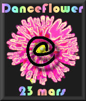 Dance Flower -- 02/03/06