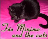 Féeminime and the Cats