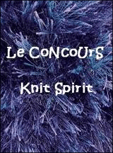 Concours Braun - Knit Spirit