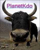 Planetkdo, le blog qui débugge les Idées-cadeaux