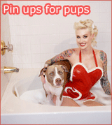 Pin ups for pups : une inititative sexy et audacieuse