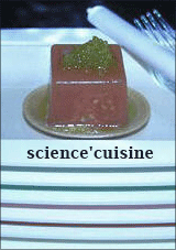 Science'cuisine, l'atelier interactif de gastronomie molculaire
