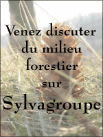 Sylvagroupe