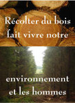 Rcolter du bois fait vivre notre environnement -- 19/04/07