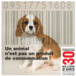 Un animal n'est pas un produit de consommation -- 19/06/08