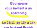 Runion des blogueurs et blogueuses de Bourgogne -- 21/11/08