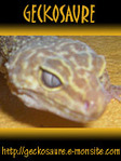 GECKOSAURE -- 08/09/08