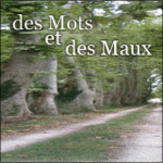 Des Mots et des Maux -- 11/01/08