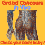 Grand jeu Concours 'In-Vivo' -- 03/06/05