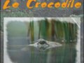 Le Crocodile -- 05/01/09