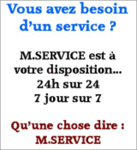 M. SERVICE -- 22/10/07