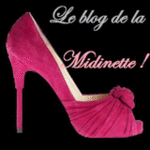 LE BLOG DE LA MIDINETTE! -- 22/12/08