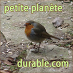 petite plante durable.com -- 18/03/07