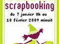 Soldes Scrapbooking chez Scrapinette -- 08/01/09