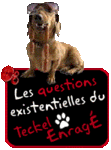 Les questions existentielles du Teckel Enrag  -- 16/08/08