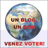 Un blog, un don, un vote